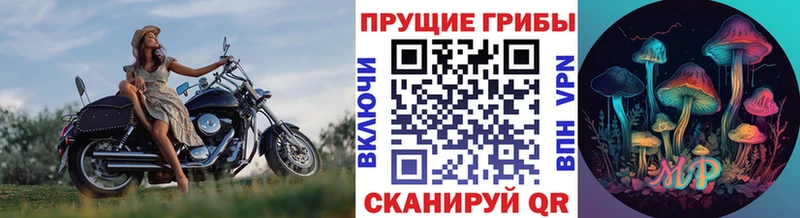 Галлюциногенные грибы Psilocybe  Шимановск 